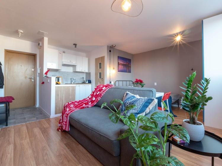 Modern Studio In The City Center Of Wroclaw! Экстерьер фото